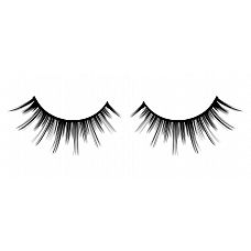 �������� ������ ������� � ���������� �������� ���������� 
����������� ������ ������ ������� ������ ������ � ���������� ��������� ����� � ���������� ���������� ����������.