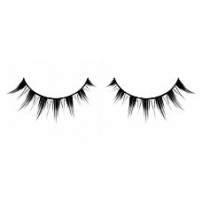 ������������� ��������� ������� �� ������  �������  Premium 
��������� ������������� ������ ������������ ������� ������ ������ � ���������� �� ����� ����������.