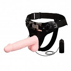 ������� � ��������� BW-022036 
