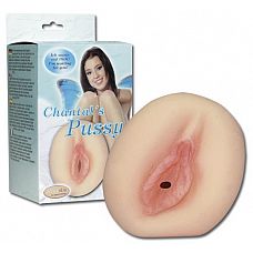  Chantals Pussy - 14 . 
                .