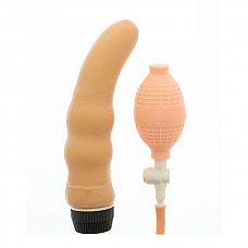      INFLATE A VIBE CURVE - 19 . 
     INFLATE A VIBE CURVE. .