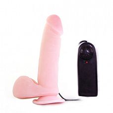 -   Dong 19,2 .,  
 –      -       .