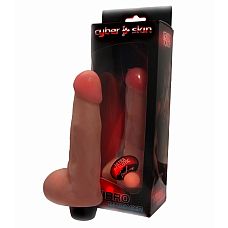     - 17 ,  
  ,      , ,   .