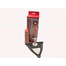 ������� �� ��������� Harness, 16 ��., �������� 
������� ��������� ����� , ����� ����� ����� � �������������� ��������.