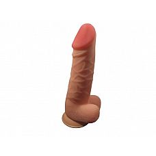  - Bioclon, 28 ,  
      ,   .