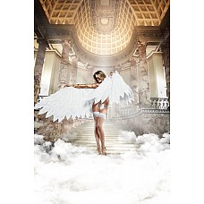 <strong>Чулки белые с задним швом</strong> <br />
Чулки белые с задним швом.<div class="charTableblock"> </div> Чулки белые с задним швом
Чулки белые с задним швом.