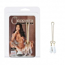 ����� �� ������� ���� � ����������� Cleopatra Clit-Cristal Pur 2625-14CDSE 
�������� ��������� ��� ������� ��� � ����������� �������� ������ �� ��������.