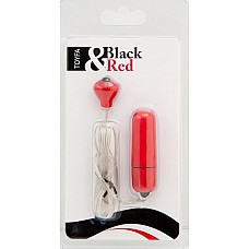 ������� ����-��������. 5,5 ��. 
��������- ���� 5,5 �� �������