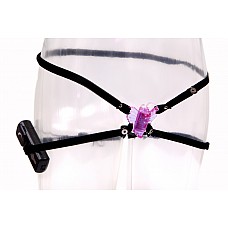  Butterfly Stimulator 
 ,         .