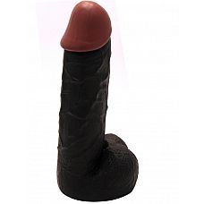  Prince of Namibia, 20,  
            ,   ,  "".