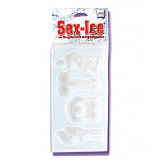     - 2460-00 CD SE 
       : ,       .