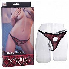     Harness SCANDAL 
    Harness  -   Scandal.