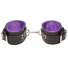 ׸   X-Play     
׸   X-Play    