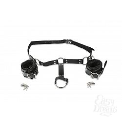  ������ ��� ����