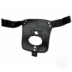    Harness