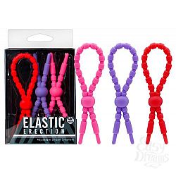  ����� �� ���� ����� ��� ������ Elastic Erection