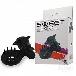  ׸   Sweet Ring  