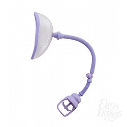  ����� ������� �������