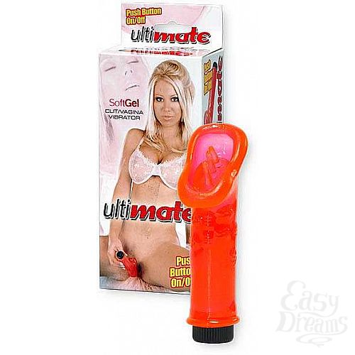 ���������� 1:  ������������ �����