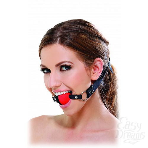 ���������� 2  ���� Fetish Fantasy Series Two Tone Ball Gag ������ � �������
