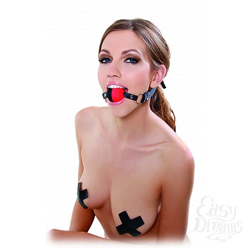 ���������� 3  ���� Fetish Fantasy Series Two Tone Ball Gag ������ � �������
