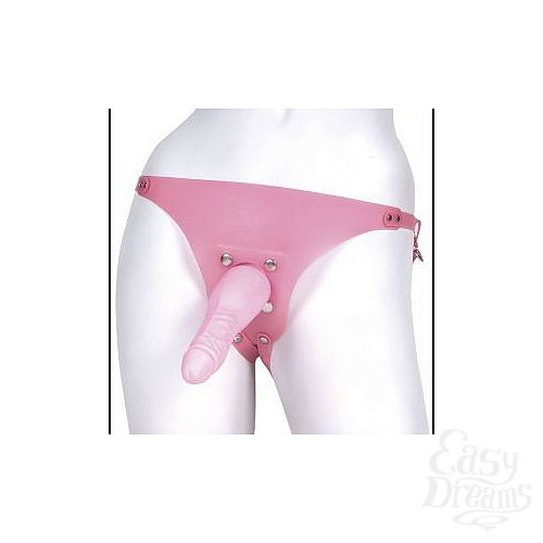 ���������� 1:  ������� ������� Sunrise Designer Harness