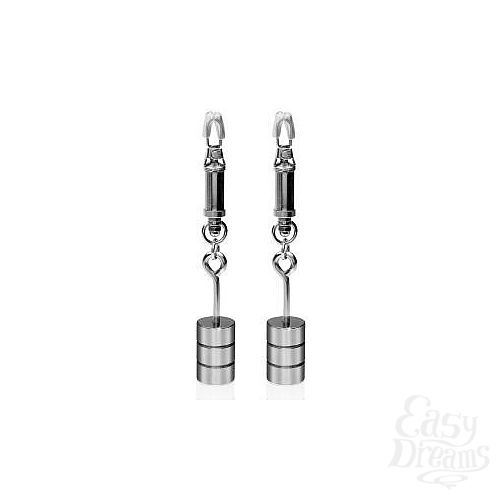  1:      Metal Worx Nipple Clamps   