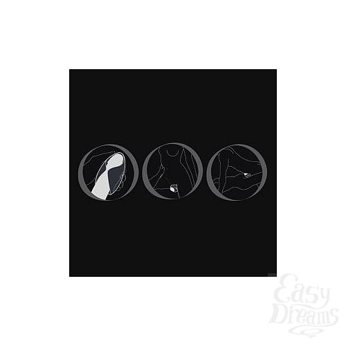 ���������� 3  ������������� ������� ���������� PULSE