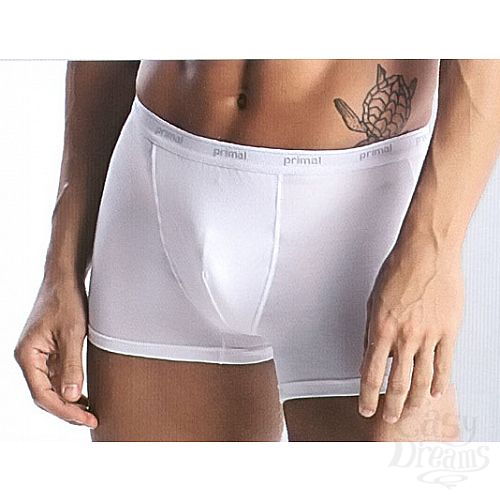 ���������� 1:  ������� ����������� ����� Primal