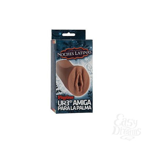  2   Noches Latinas - Vagina