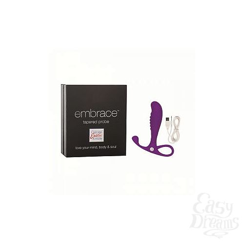 ���������� 2  ���������� �������� ������������� Embrace Tapered Probe