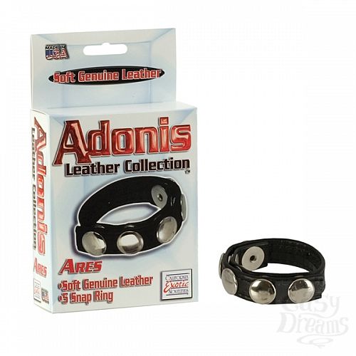 ���������� 1:  Adonis Leather Collection� - Ares�