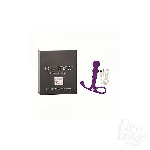 ���������� 2  ���������� �������� ������������� Embrace Beaded Probe