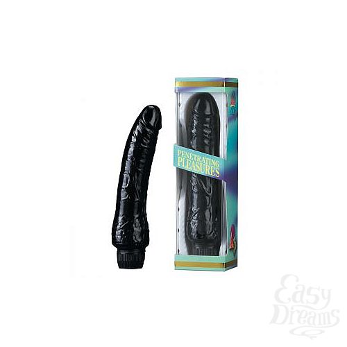 ���������� 1:  ׸���� ������������ �������� JELLY - 18,5 ��.