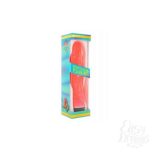 ���������� 2  ������� ������������ �������� JELLY - 22,5 ��.