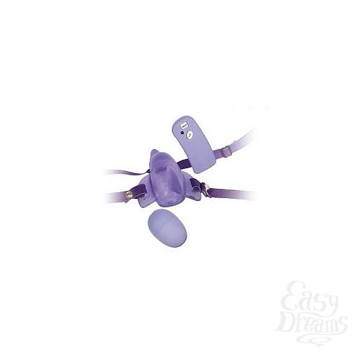  1:    Sea Of Love Dolphin   