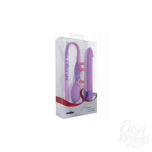 ���������� 2  �������� ����������  �������� 