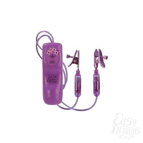 ���������� 1:  ��������������� ��� ������ Nipple Teasers