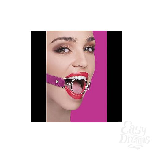���������� 1:  ����������� ���� Ring Gag XL � �������� ���������