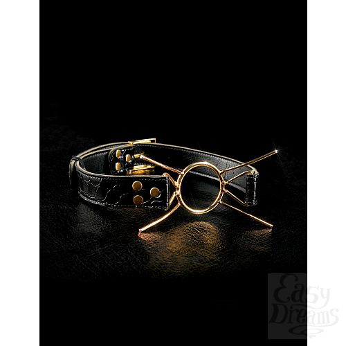 ���������� 3  ����-����� Deluxe Spider Gag ������ � �������