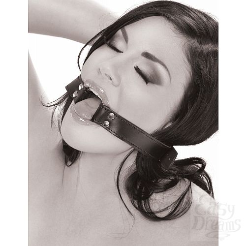 ���������� 2  ����-����� O-Ring Gag ������