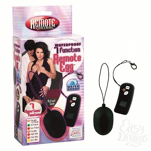 ���������� 1:  ׸���� �������� �� ������ � ���������������� 