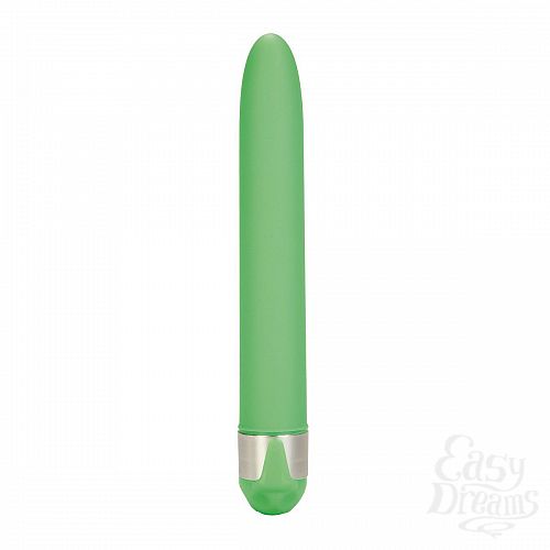 ���������� 2  ��������� �������� Shanes World - 15,5 ��.