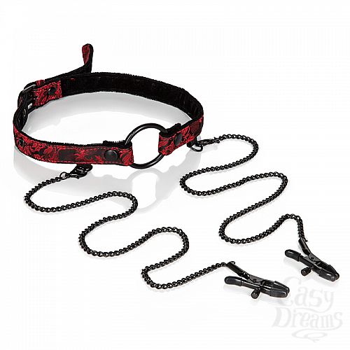 ���������� 2  ����-������ � �������� ��� ������ SCANDAL