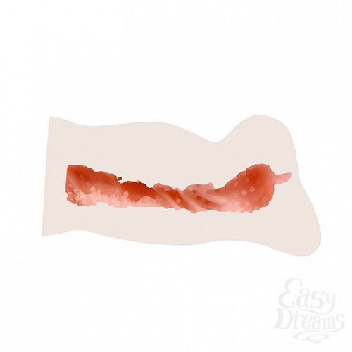 ���������� 8  ����������� ����������� �� ������ � ���� ������ - 14 ��.