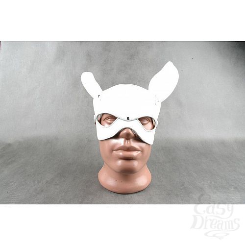 ���������� 1:  ����� ������� ����� �� ������� ����� ����  �-������ 