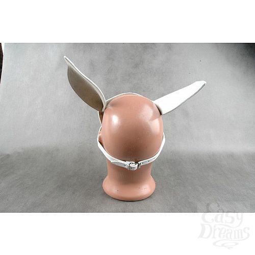 ���������� 3  ����� ������� ����� �� ������� ����� ����  �-������ 