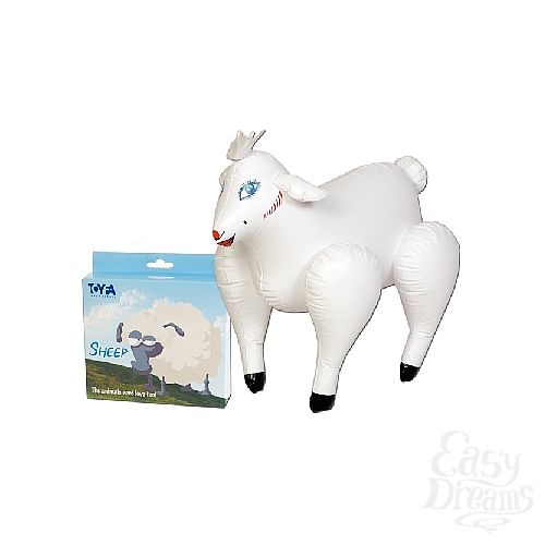 ���������� 1:  �������� ����� ���� (ToyFa 113005)