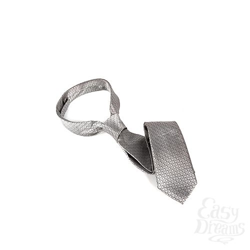 ���������� 1:  �������� � ���� ������������ �������� Christian Grey�s Silver Tie