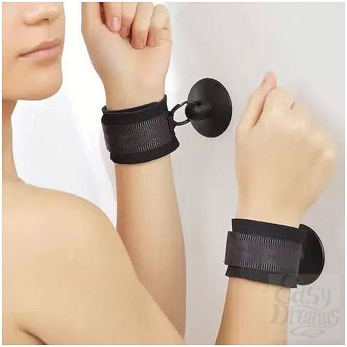 ���������� 1:  ��������� � ����������